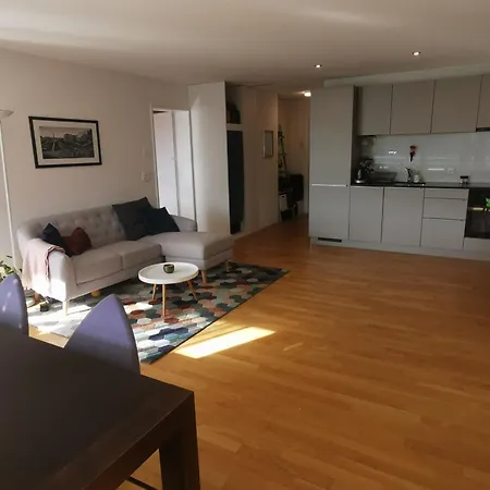 Beautiful View On The River Aare